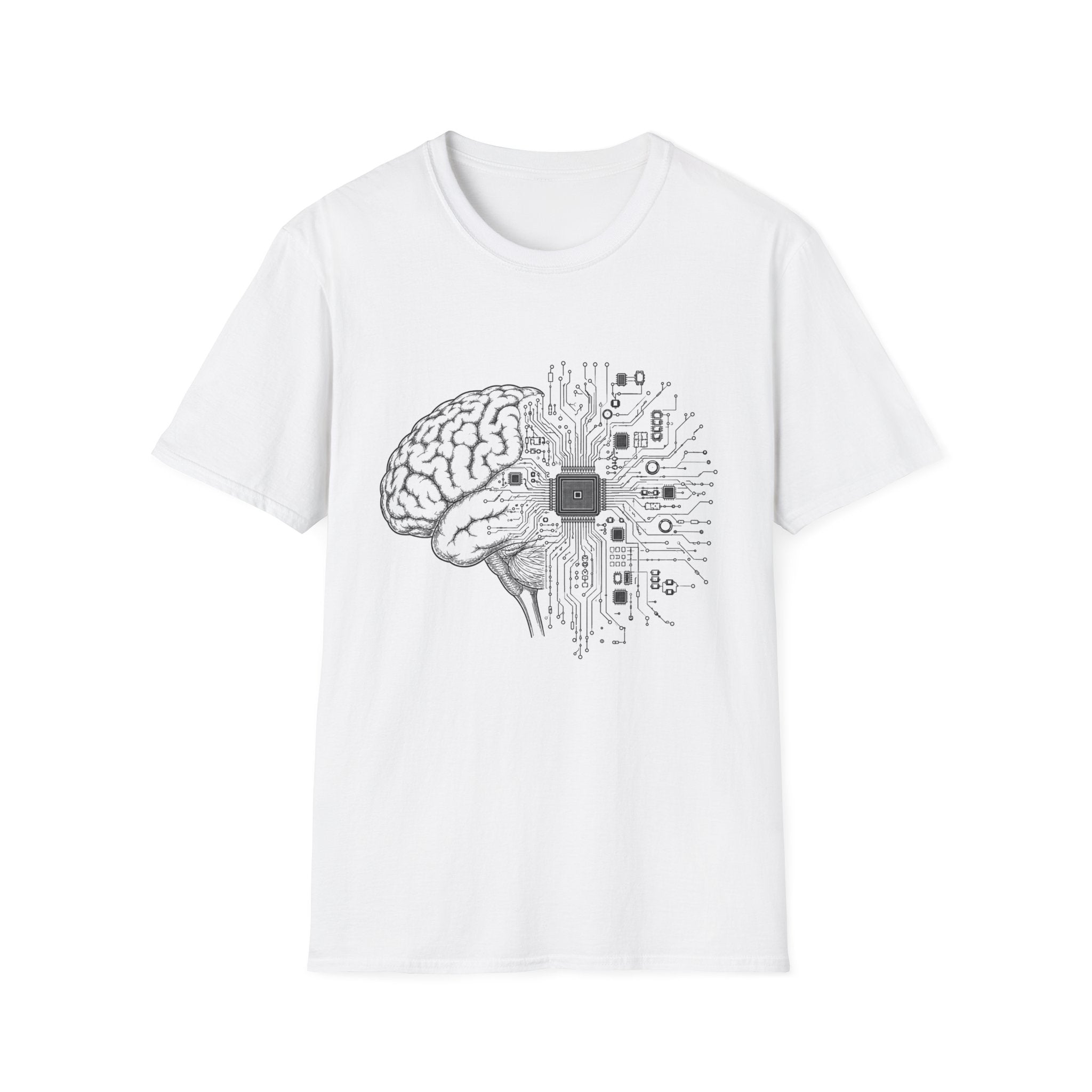 Cerebral Circuits 1