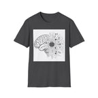 Cerebral Circuits 1