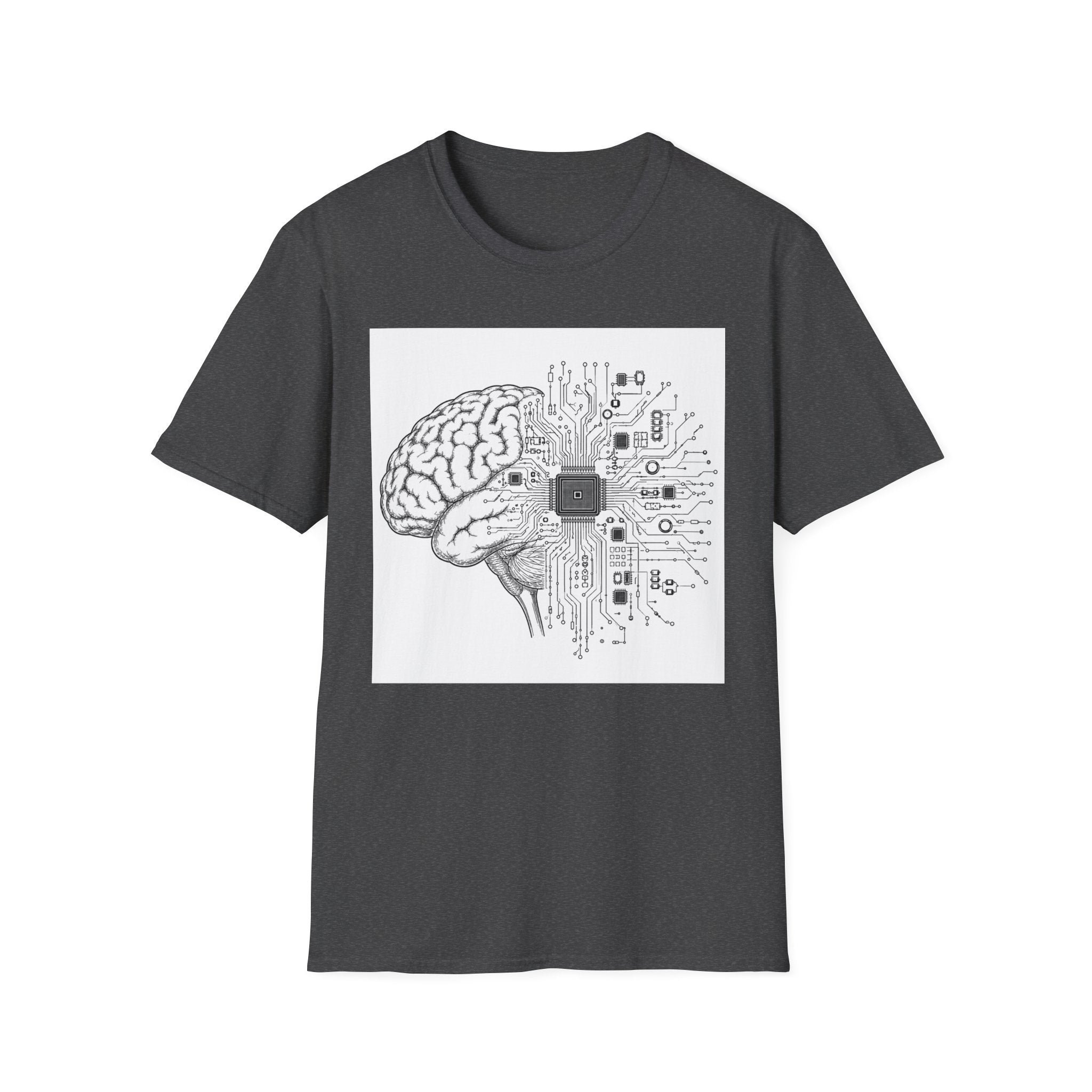 Cerebral Circuits 1