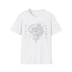 Cerebral Circuits 2