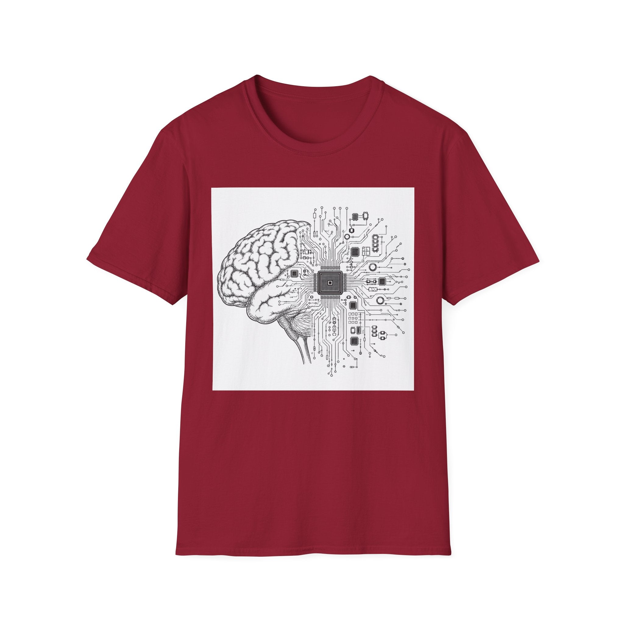 Cerebral Circuits 1