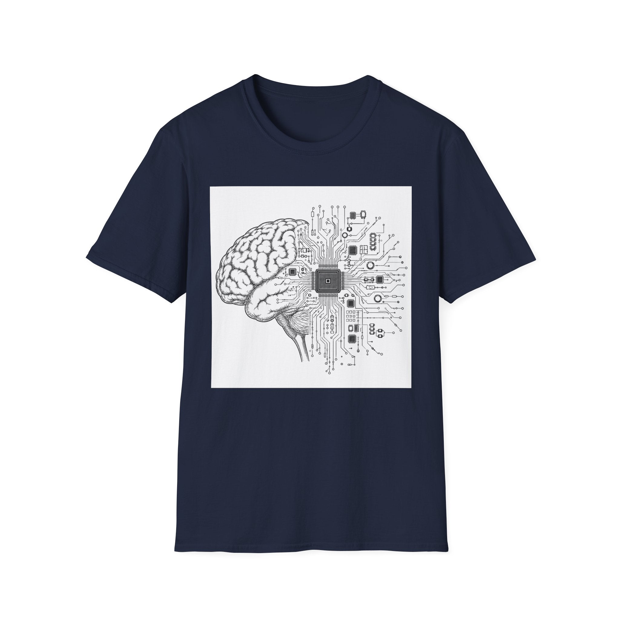 Cerebral Circuits 1