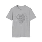 Cerebral Circuits 2