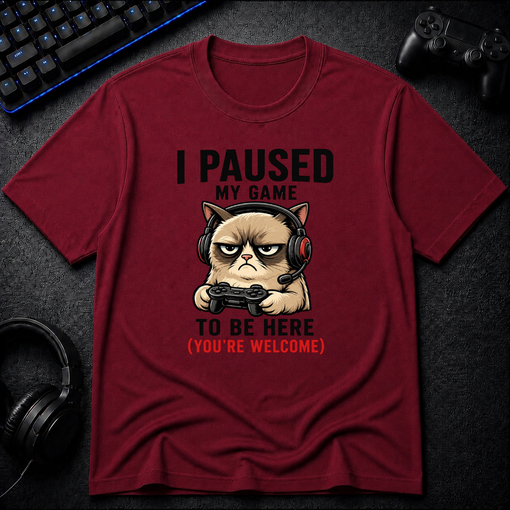 Paused My Game 2