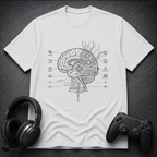 Cerebral Circuits